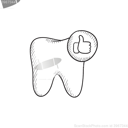 Image of Healthy tooth sketch icon.