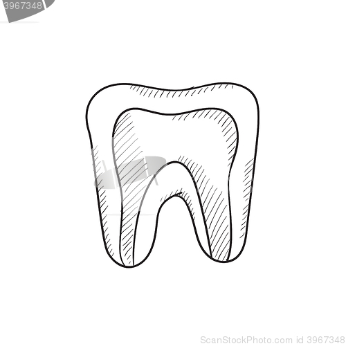 Image of Molar tooth sketch icon.