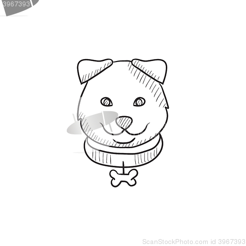 Image of Dog head sketch icon.