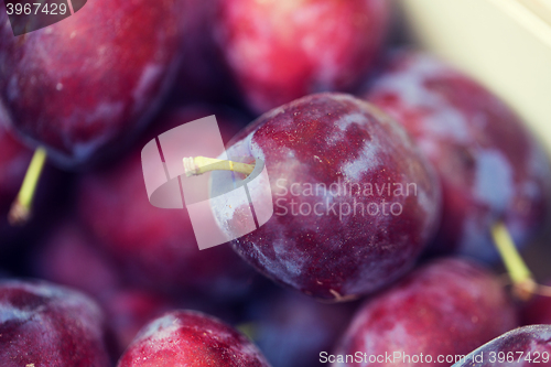 Image of close up of satsuma plums in box at street market