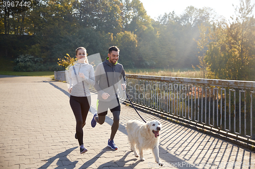 Image of happy couple with dog running outdoors