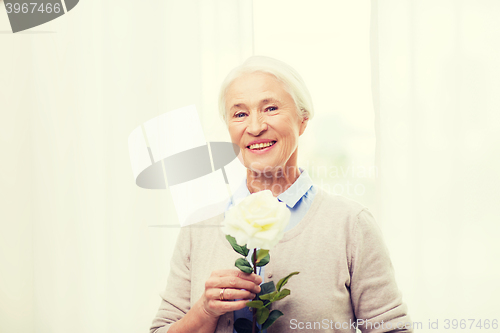 Image of happy senior woman with rose flower at home