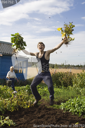 Image of Garden euphoria