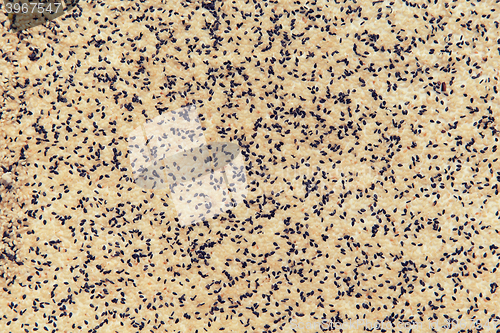 Image of sesame seeds texture