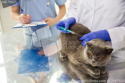 Image of close up of vet making vaccine to cat at clinic