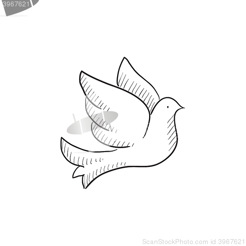 Image of Wedding dove sketch icon.