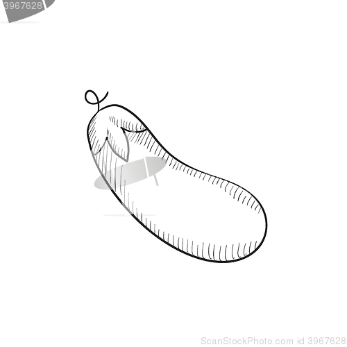 Image of Eggplant sketch icon.