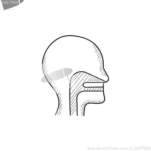 Image of Human head with ear, nose, throat sketch icon.