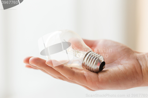 Image of close up of hand holding edison lamp or lightbulb