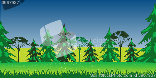 Image of Panorama wood and glade summer