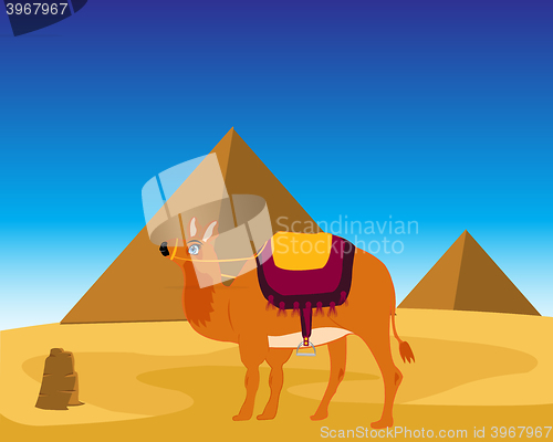 Image of Camel and pyramids