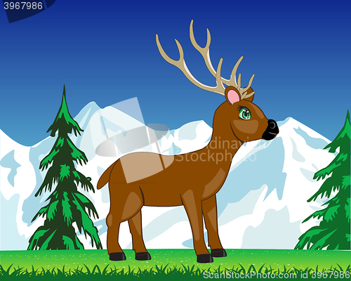 Image of Deer on glade