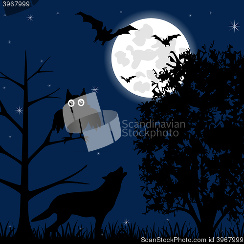 Image of Night on  Halloween