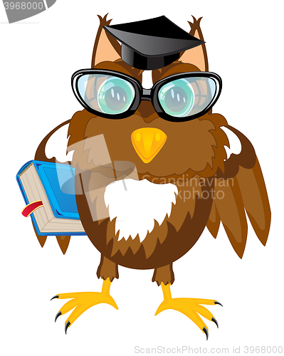 Image of Owl teacher with book