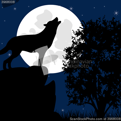 Image of Wolf on stone in the night