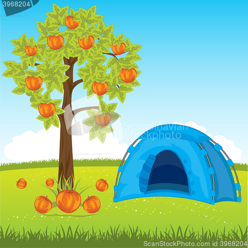 Image of Blue tent under tree