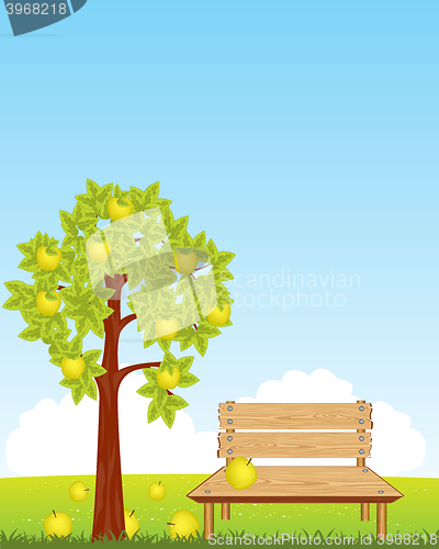 Image of Bench under aple tree