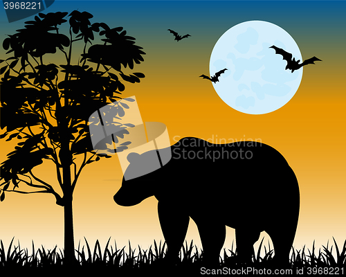 Image of Silhouette bear on glade
