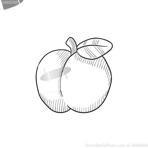 Image of Apple sketch icon.