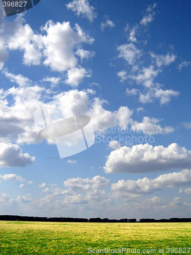 Image of green field and blue sky