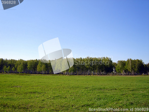 Image of green field landscape