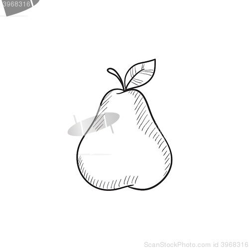 Image of Pear sketch icon.