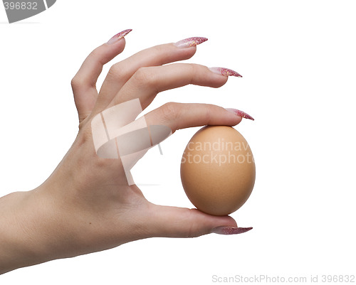 Image of egg and hand
