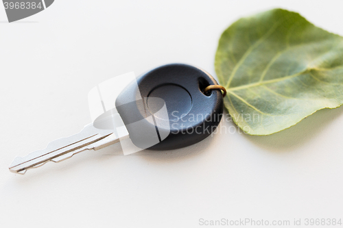 Image of close up of car key and green leaf