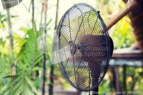 Image of close up of fan outdoors