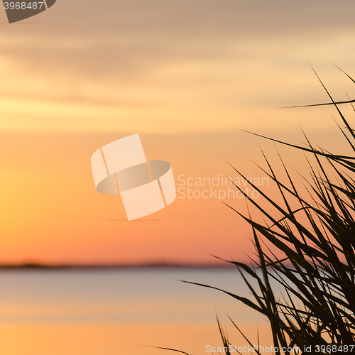 Image of Soft colored sunset