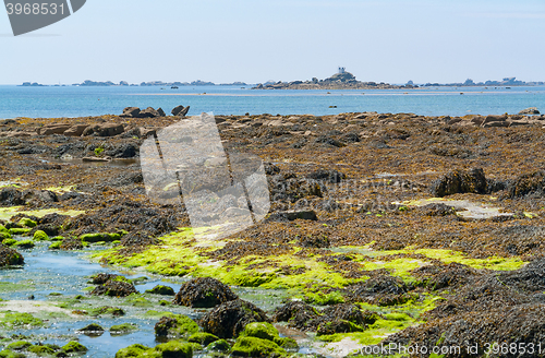 Image of around Penmarch in Brittany