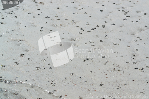 Image of sand and lugworm piles
