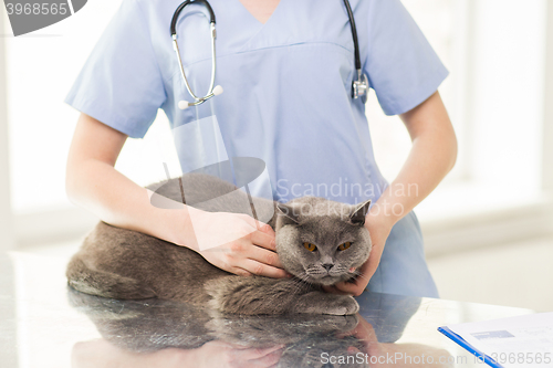 Image of close up of vet with stethoscope and cat at clinic