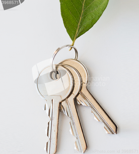 Image of close up of house keys and green leaf