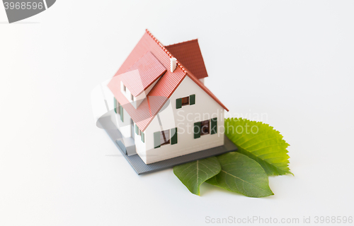 Image of close up of house model and green leaves