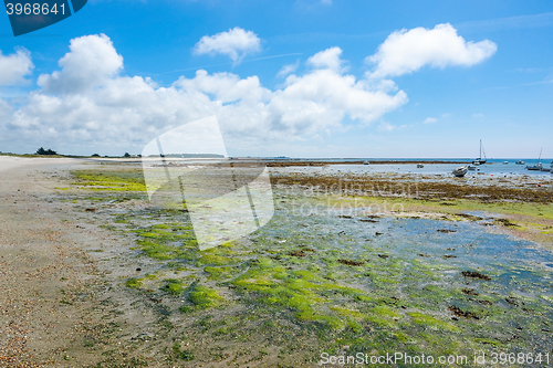 Image of around Penmarch in Brittany