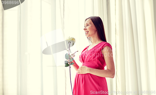 Image of happy pregnant woman with rose flower at home