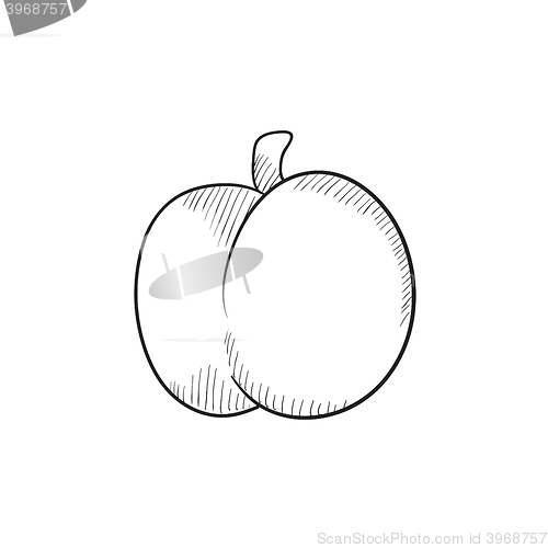 Image of Plum with leaf sketch icon.