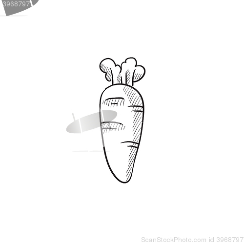 Image of Carrot sketch icon.