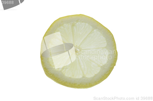Image of Backlit lmon