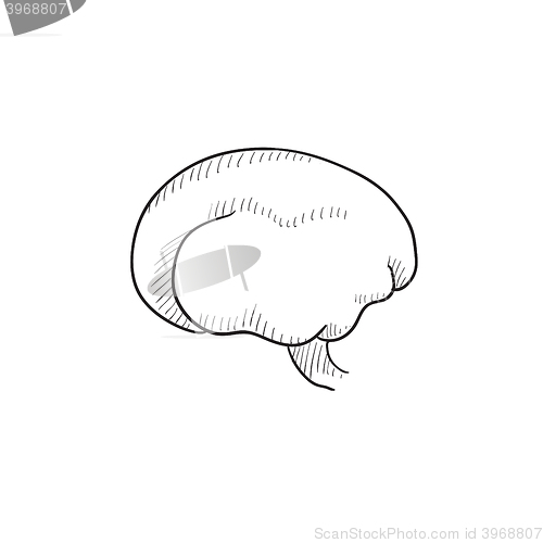 Image of Brain sketch icon.