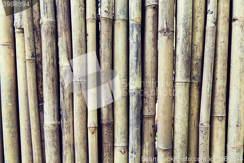 Image of bamboo cane wall texture