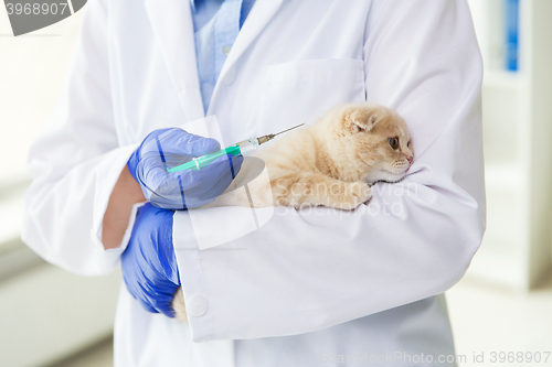 Image of close up of vet making vaccine to kitten at clinic