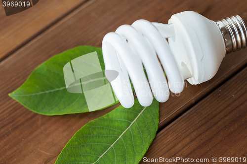 Image of close up of energy saving lightbulb and green leaf