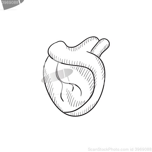 Image of Heart sketch icon.