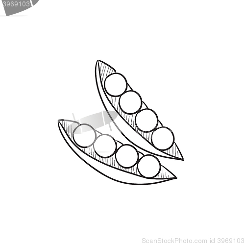 Image of Peapod sketch icon.