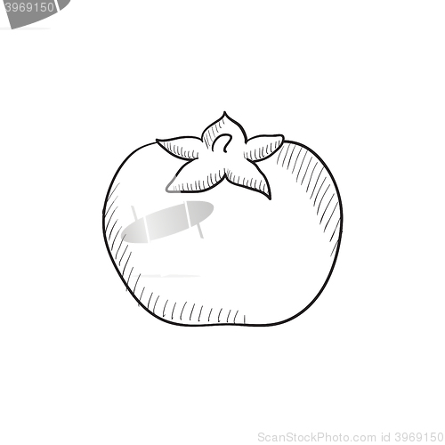 Image of Tomato sketch icon.