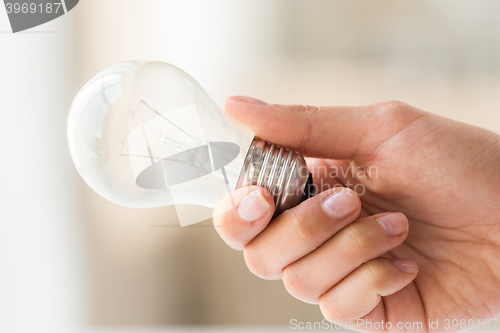 Image of close up of hand holding edison lamp or lightbulb