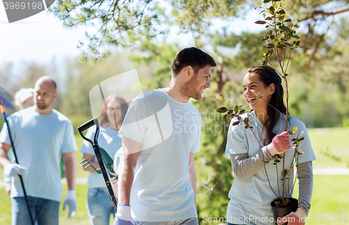 Image of group of volunteers with trees and rake in park