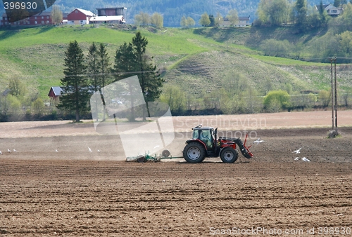 Image of Farmer harrowing field